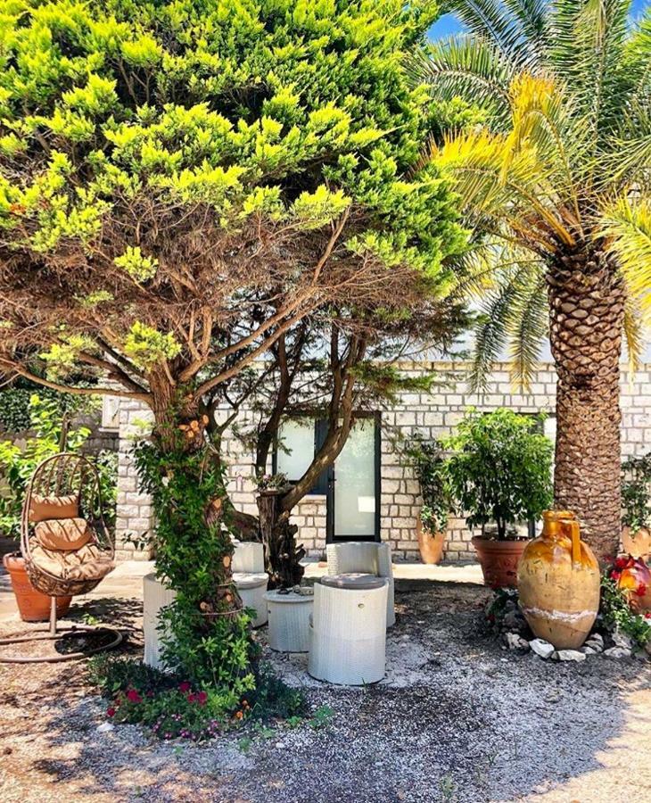 Le Due Palme Bed & Breakfast Sirolo Zewnętrze zdjęcie